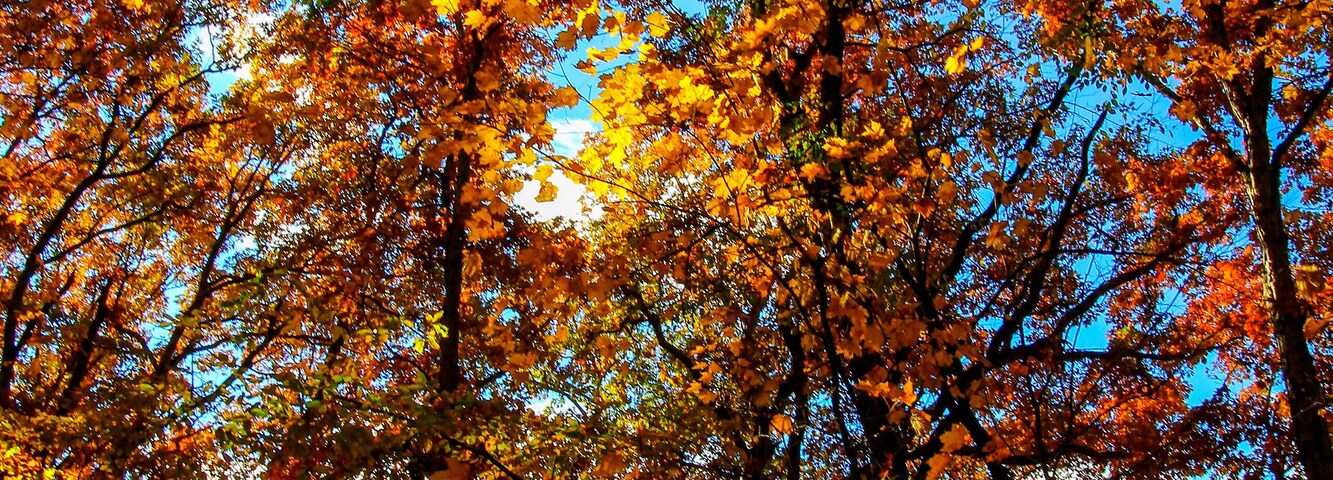 Shale Hollow Park in Autumn, Lewis Center, Ohio