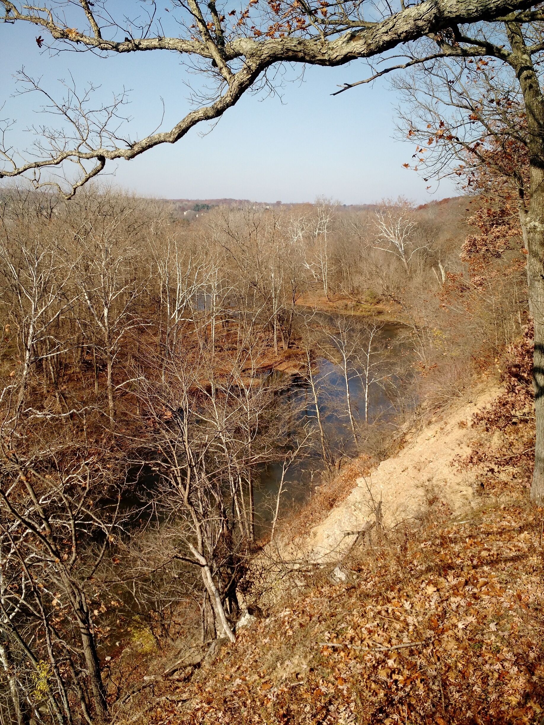 A view from the Eagle nest overlook. There is an Bald Eagle in the tops of a tree in the distance. 