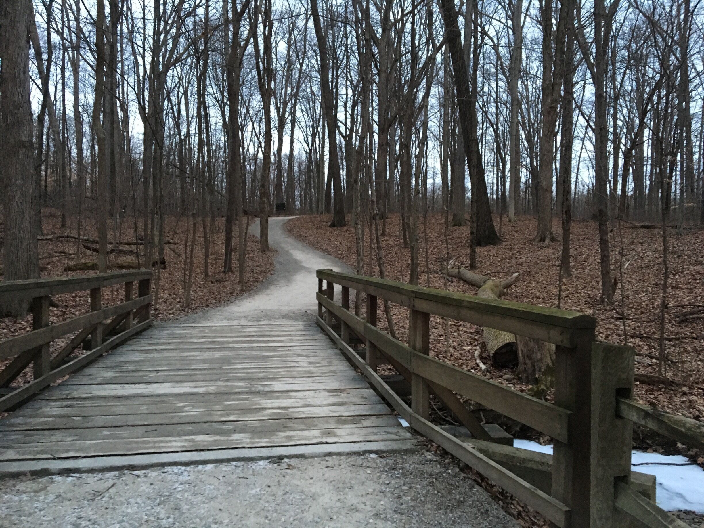 Trail in Highbanks Metro Park. Part of a loop. 