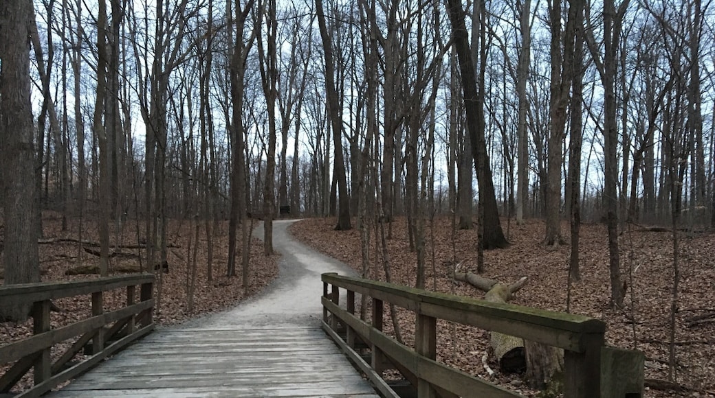 Trail in Highbanks Metro Park. Part of a loop.