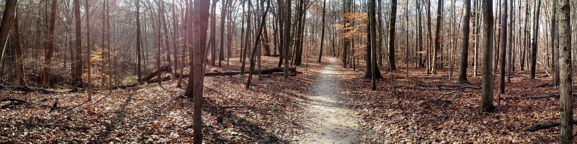 A sunny late November day at Highbanks Metro Park on the Overlook trail.