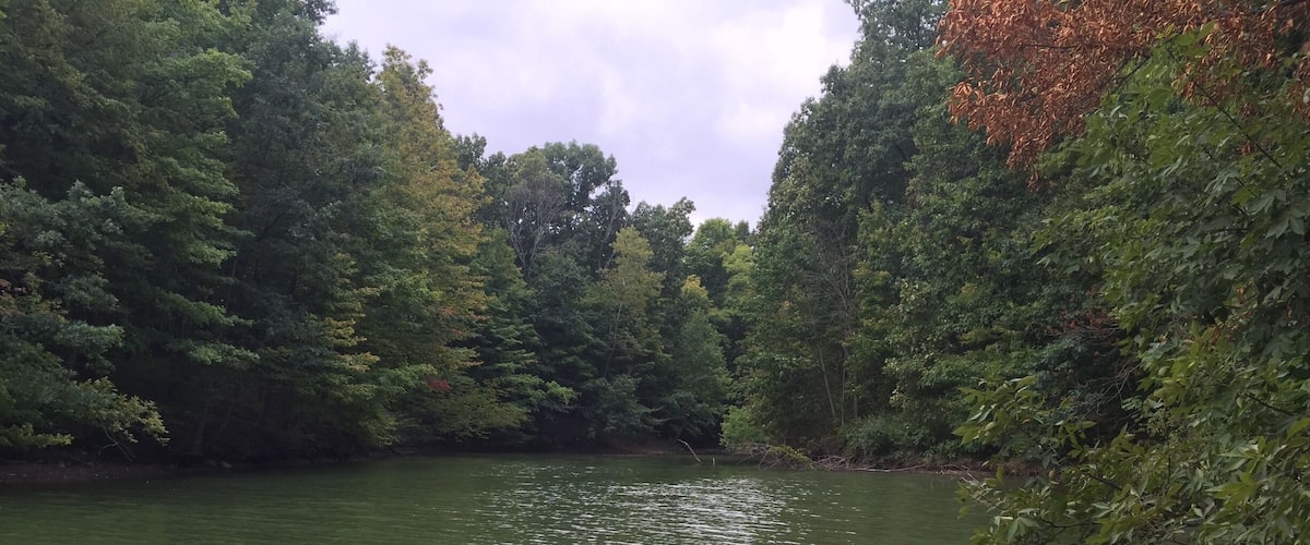 Love hiking the roots and rocks trail at Alum Creek State Park