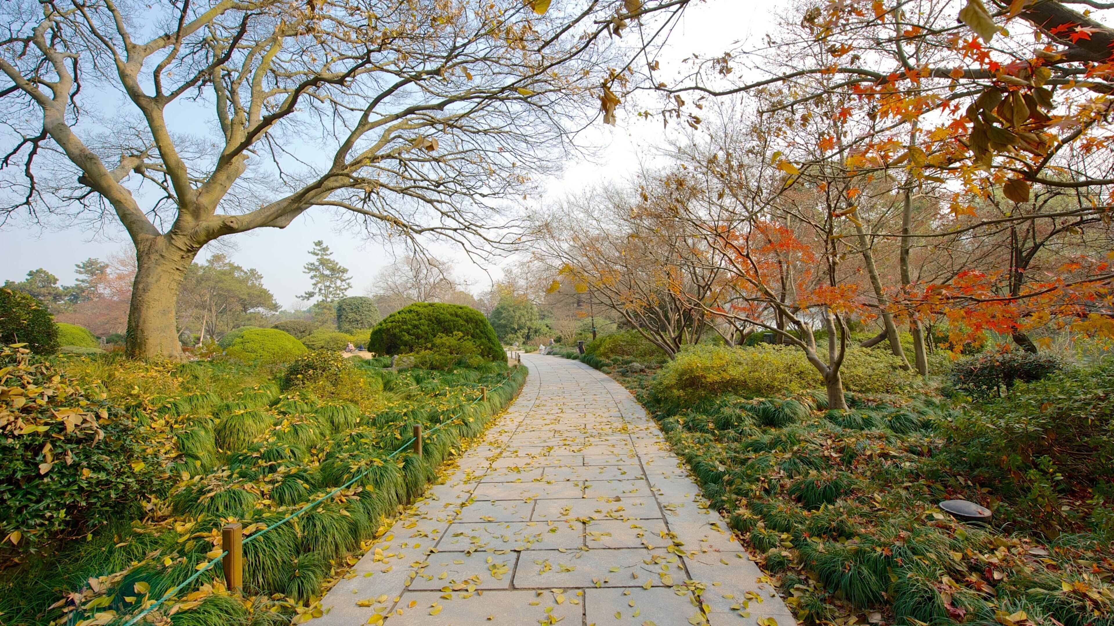 West Lake showing a park and autumn colours