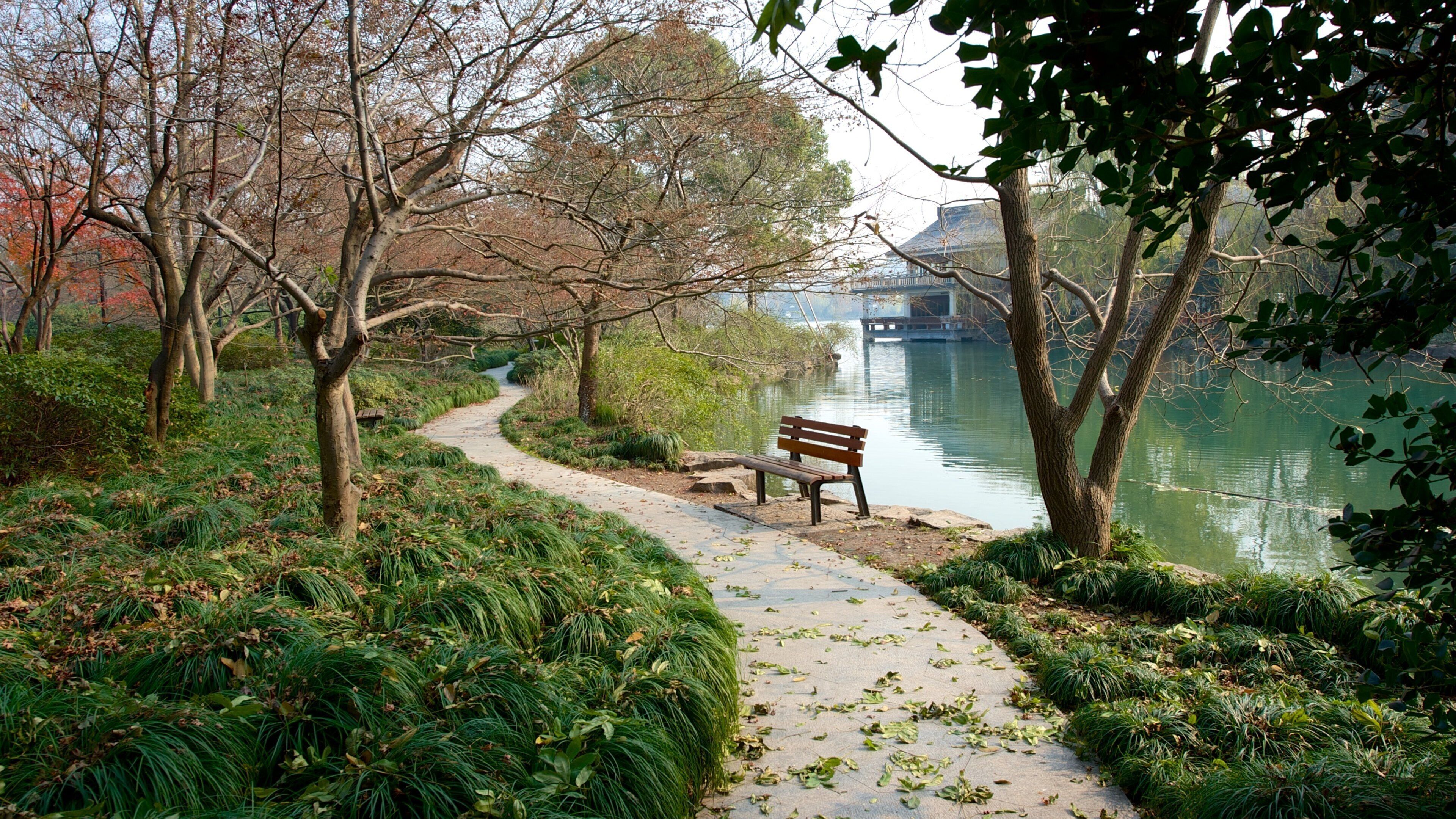 A park with a walking path, a bench, and a body of water.