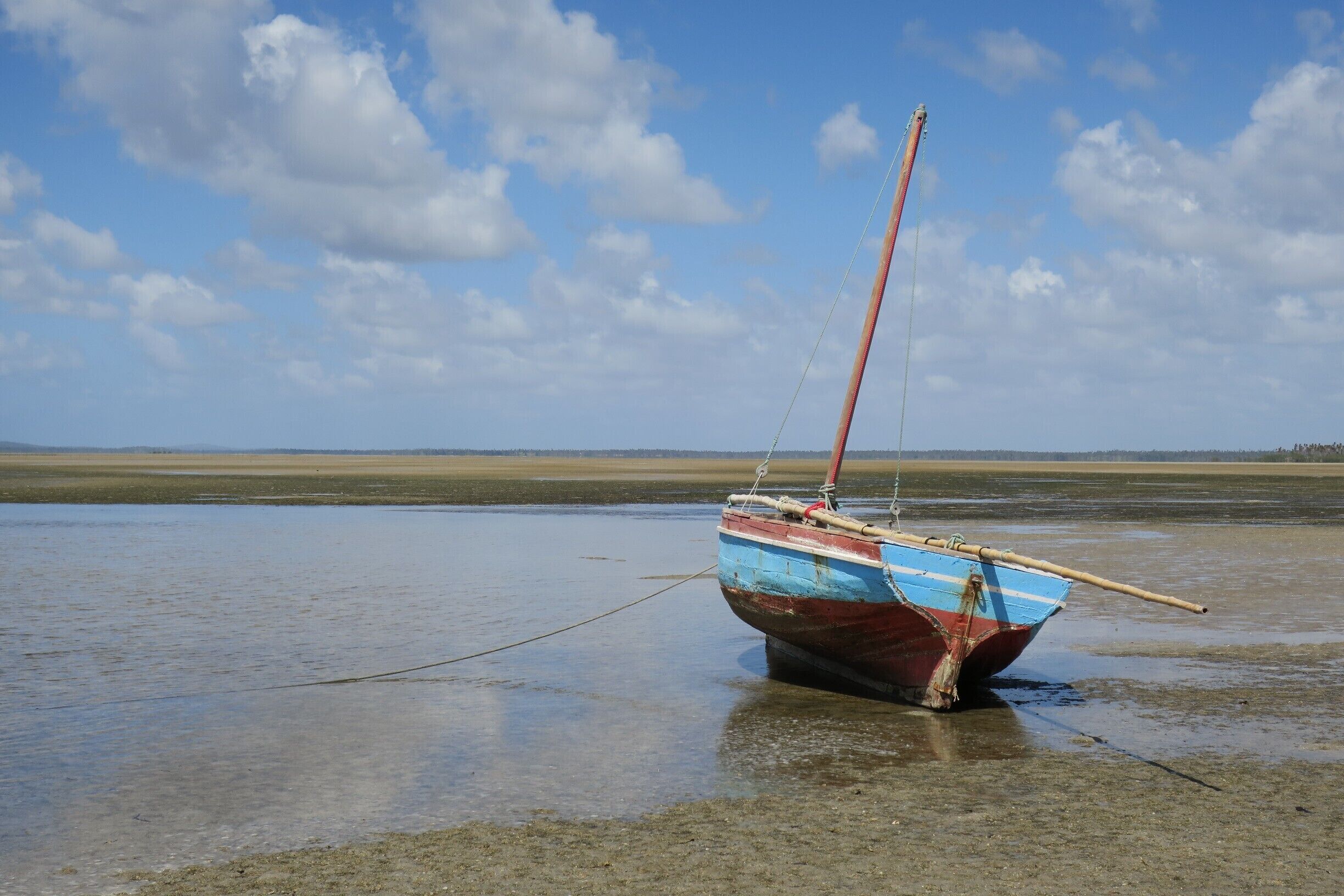 Saw this little boat on low tide. Looking a bit lost