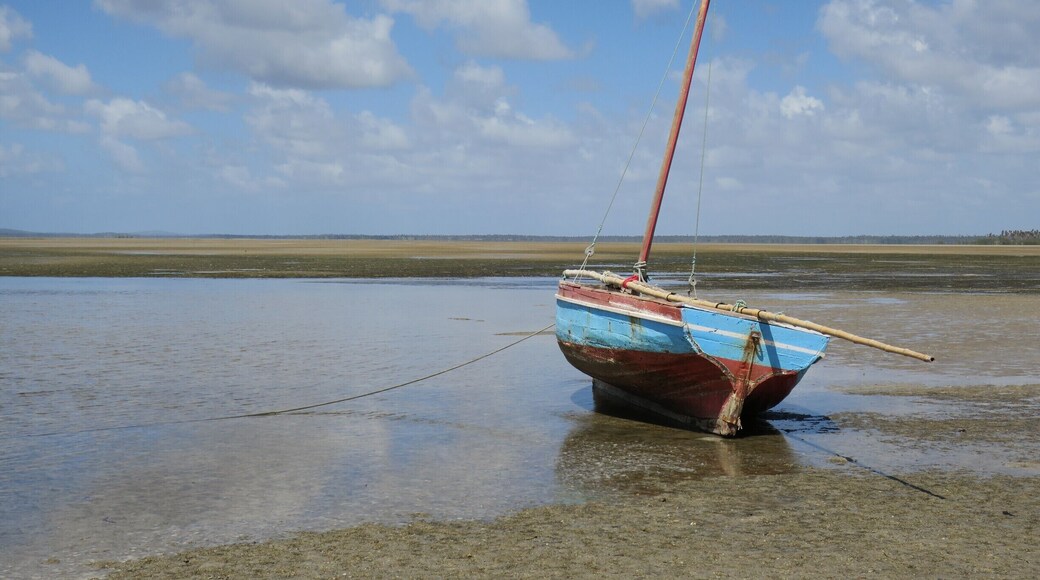 Saw this little boat on low tide. Looking a bit lost