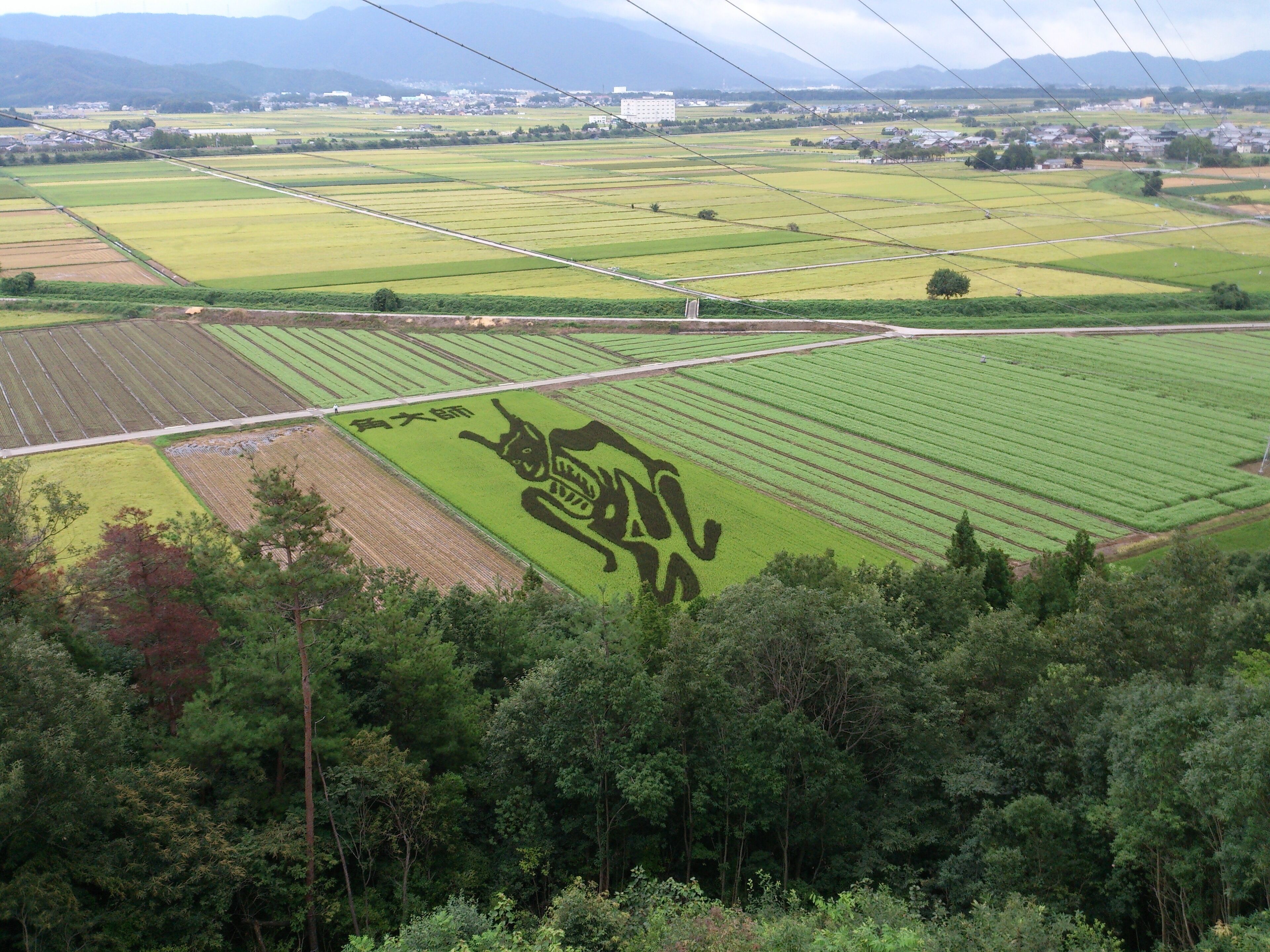 田んぼアート（虎御前山より）