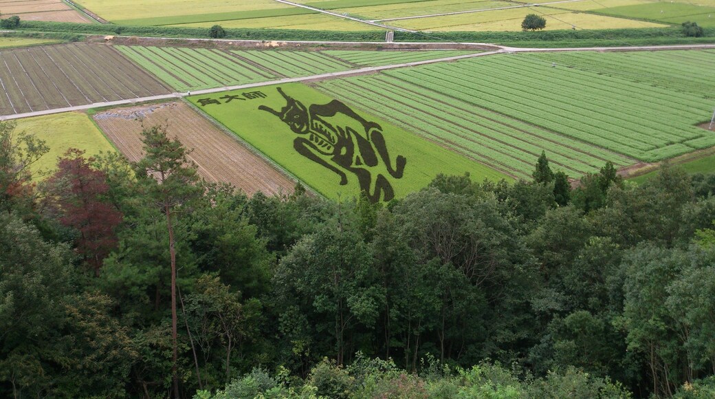 田んぼアート(虎御前山より)