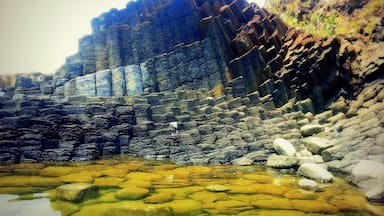 Gành Đá Dĩa is the beautiful and very magnificent place in Vietnam!!!!
From Tuy Hoa city, along 1A Highway in the North about 30 kilometers, the visitors just turn right forward the east direction approx 12 kilometers to come Đá Dĩa whirlpool. This famous destination is located peacefully in the seashore of An Ninh Dong Commune, Tuy An District, Phu Yen Province.
There are only four places like that over the world, namely Giant’s Causeway rocky mountain in North- east Ireland seashore, Organos whirlpool in La Gomera – a famous island in Spain, Fingal cave in Staffa island , Scotland and finally Jeju island, Korea.