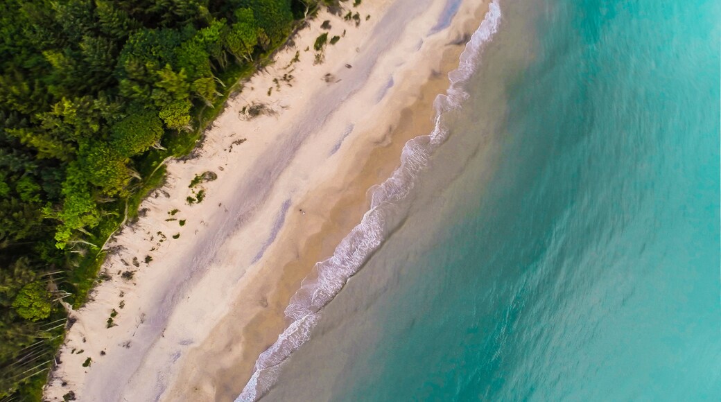 Una spiaggia sabbiosa con acque cristalline turchesi e vegetazione verdeggiante.