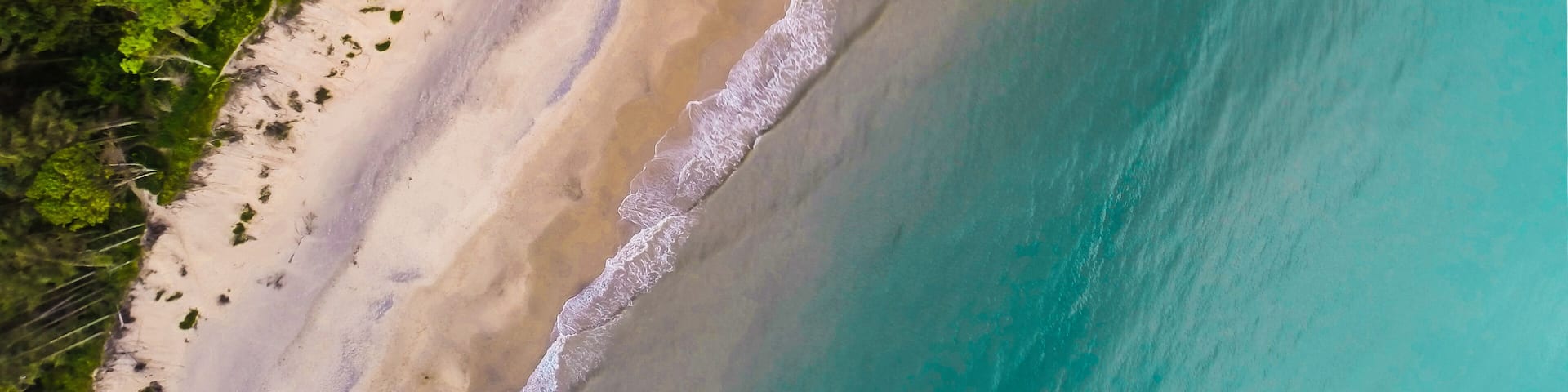 A sandy beach with clear turquoise waters and dense green foliage.