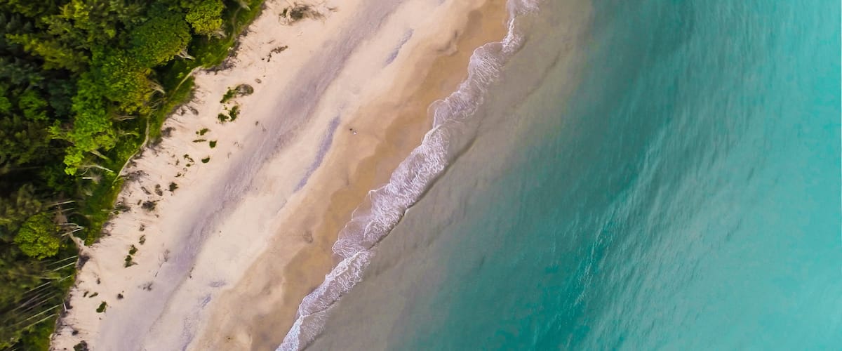 A sandy beach with clear turquoise waters and dense green foliage.