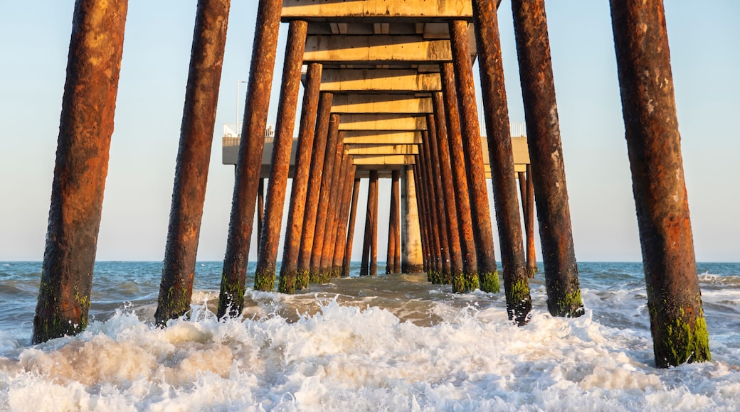 里約達斯奧斯特拉斯