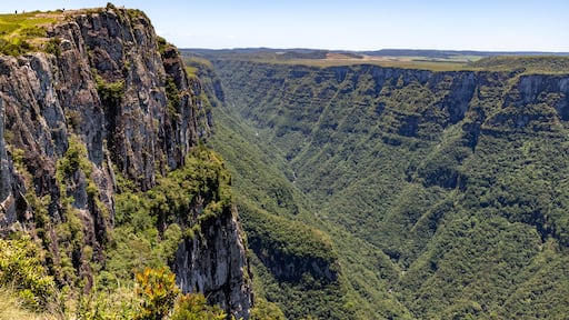 Forest, river, rocks and mountains in Fortaleza Canyon