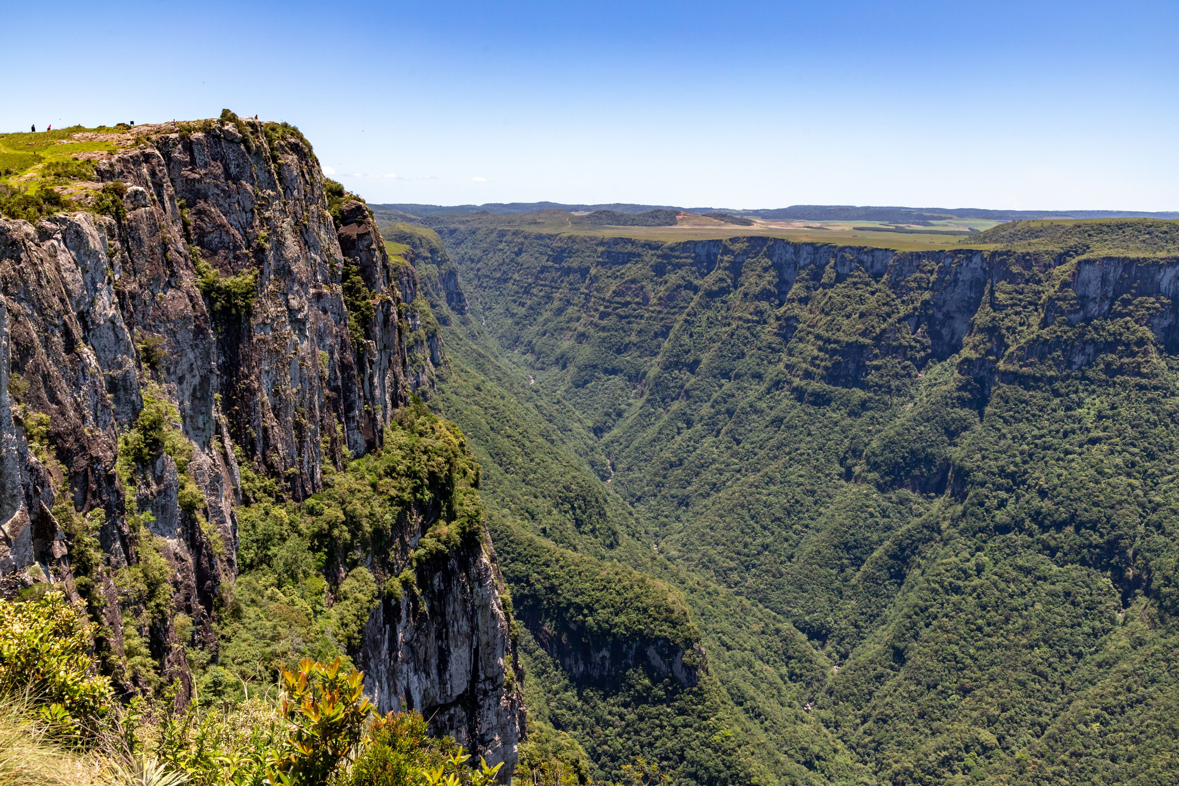 A steep cliff with dense forested valley below.