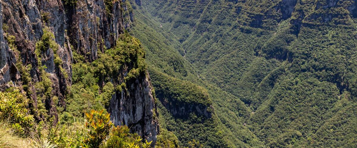 A steep cliff with dense forested valley below.