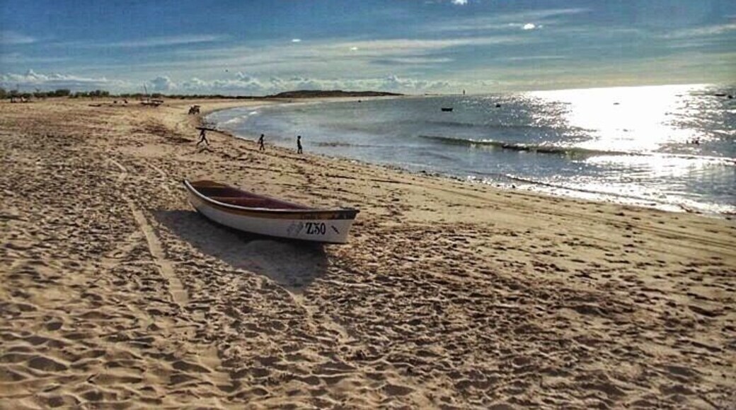 The tiny city of Galinhos is located in Rio Grande do Norte, Brazil.
The beach is like a piece of heaven on Earth. It surely worth a visit!
#EndlessSummer