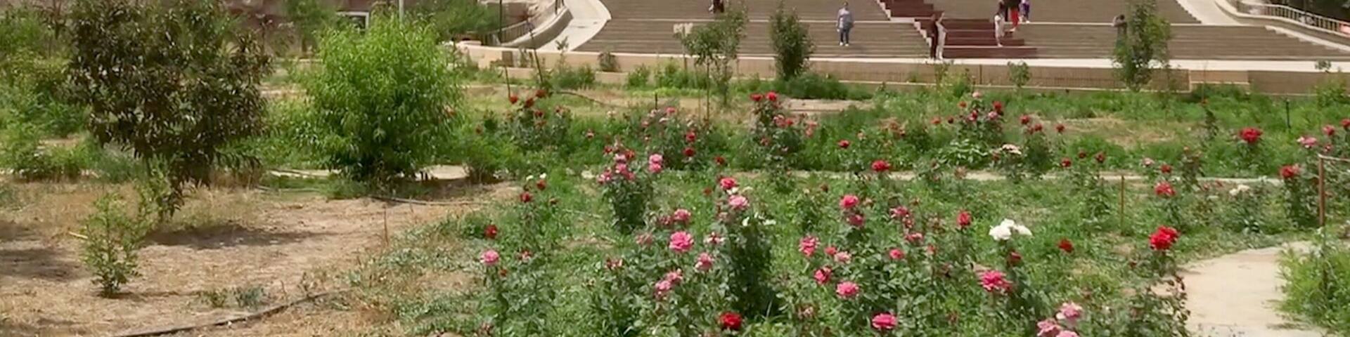 This is the Ermin Minaret in Turpan, China
