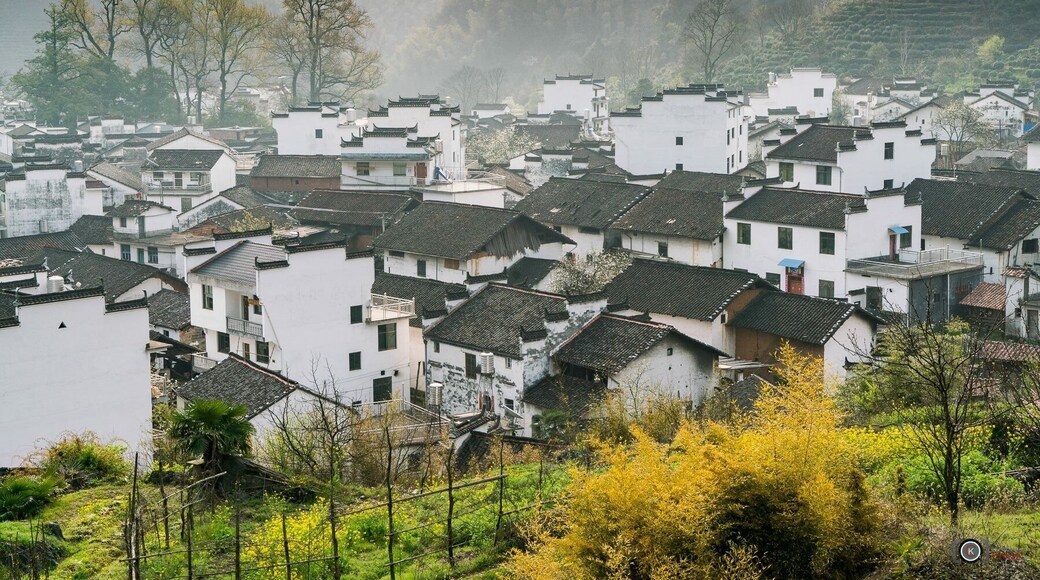 The Most Beautiful Village At China II 婺源 Wuyuan- China
"人生過客匆匆,相機抓住每個剎那,與我擦肩而過的人和事"