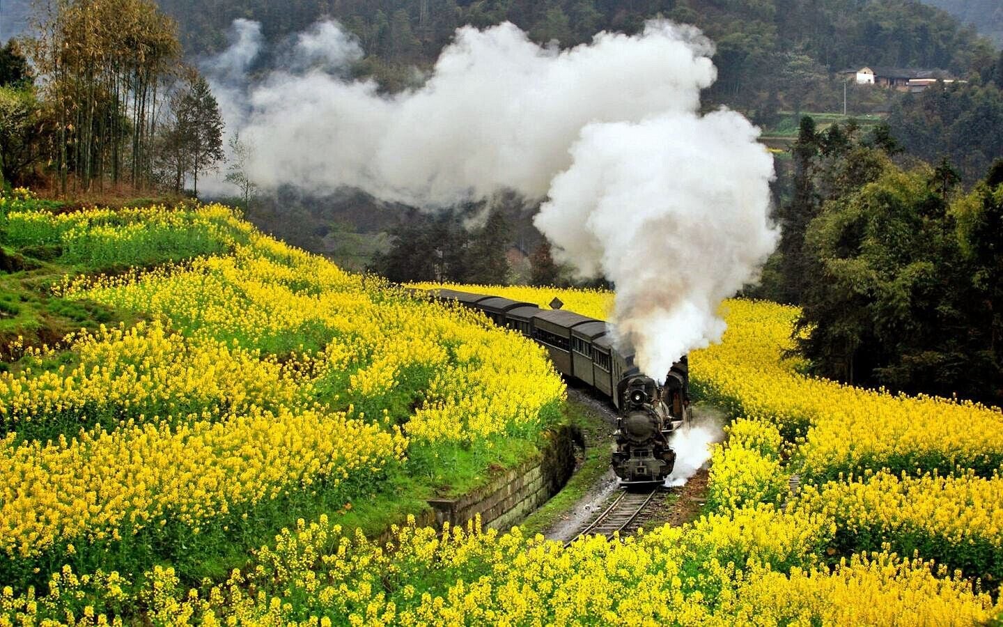 #Spring to #Wuyuan,Rape flowers are yellowing the fields.

https://twitter.com/Beautifulgx