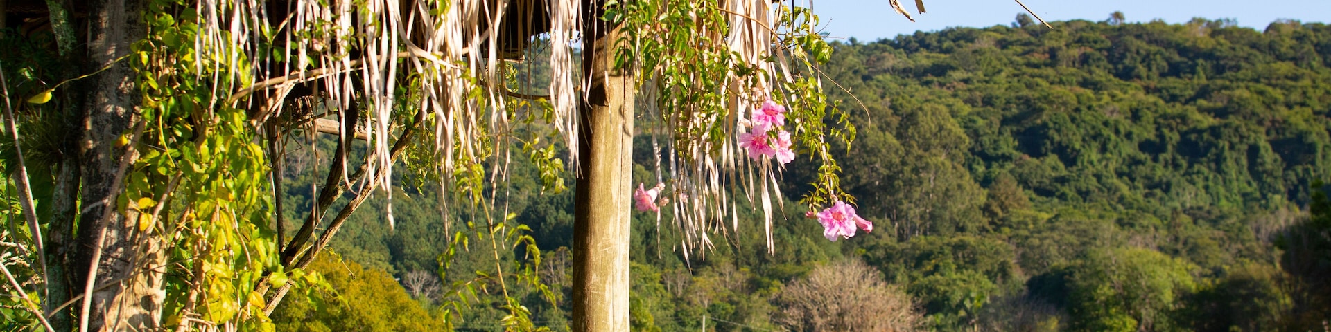 Brazilian landscapes hacienda for holidays, Rio Grande do Sul, Brazil