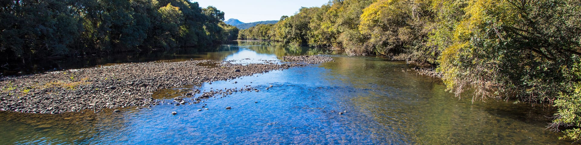 Paisagem com rio e floresta