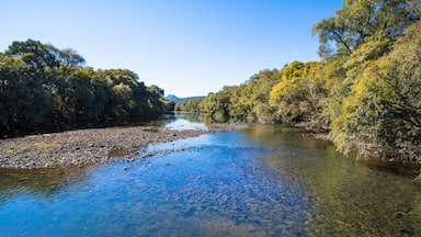 Paisagem com rio e floresta