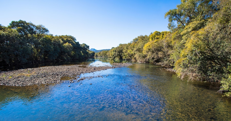 Paisagem com rio e floresta