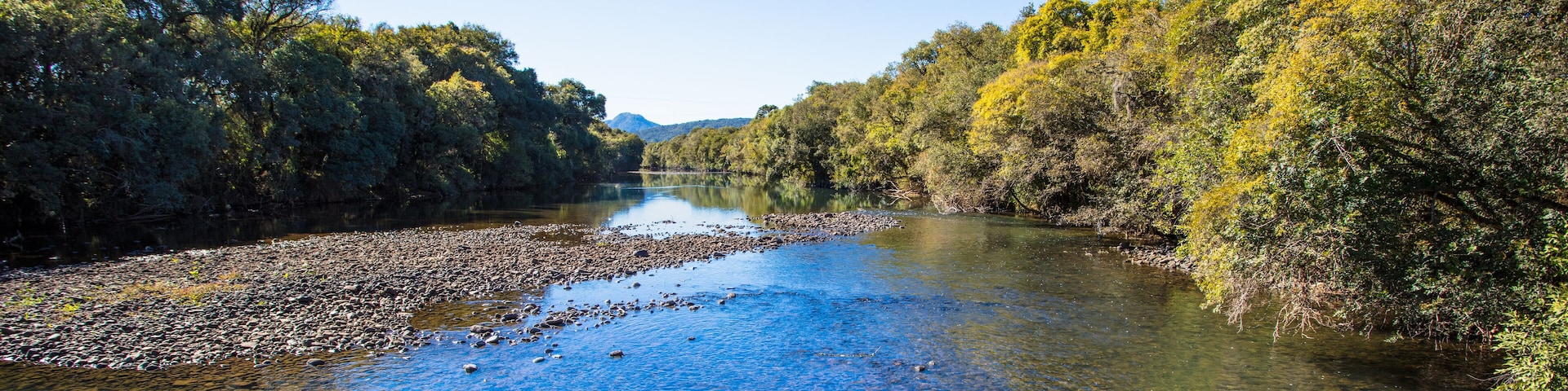 Paisagem com rio e floresta