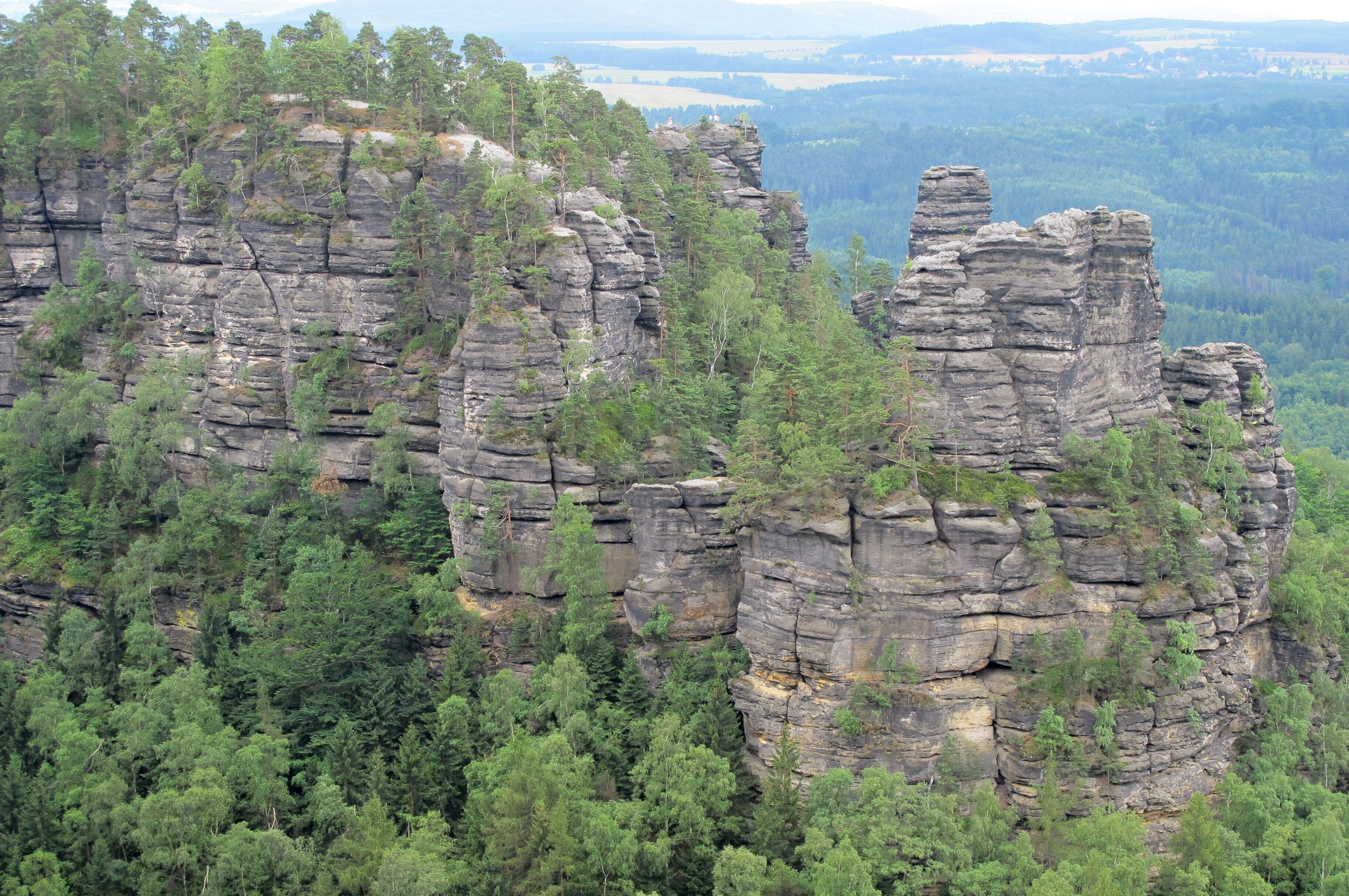 A rocky cliff with dense forest.