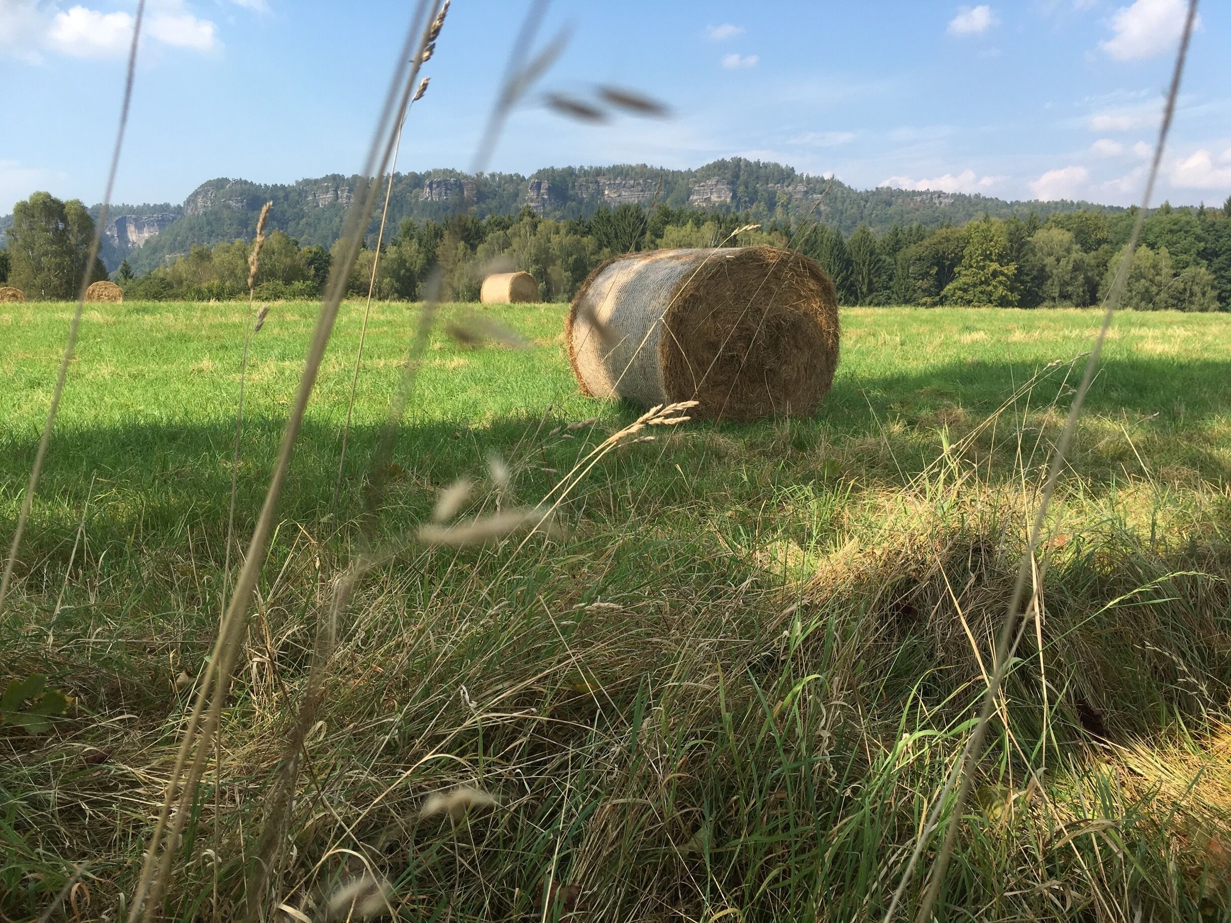 Beautiful area around Saxon Switzerland in the Czech Republic. 