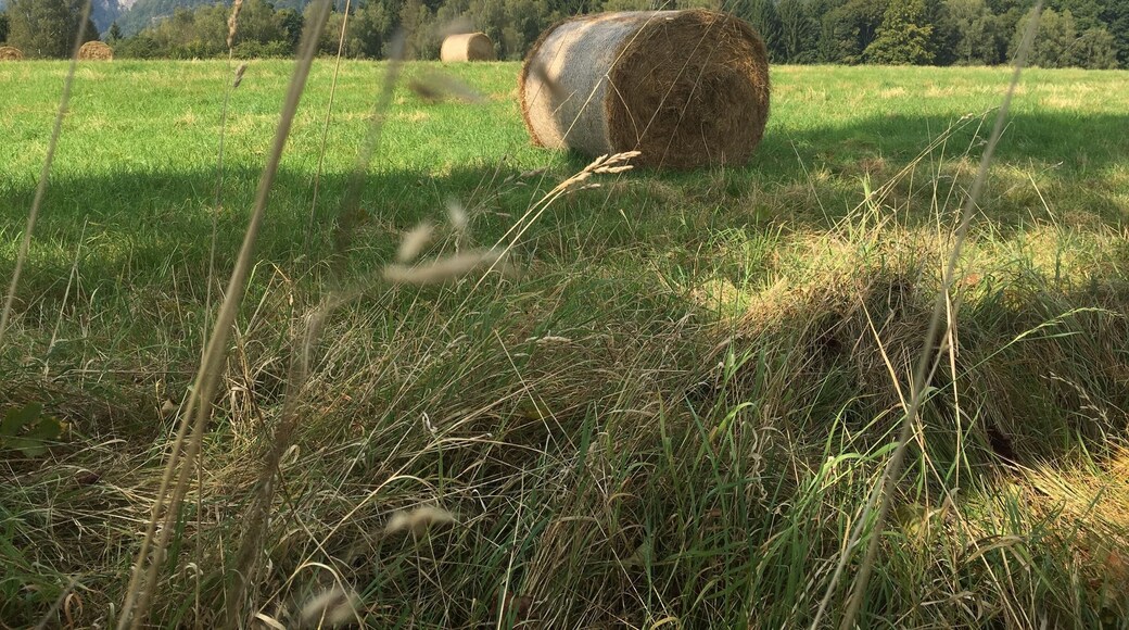 Beautiful area around Saxon Switzerland in the Czech Republic.