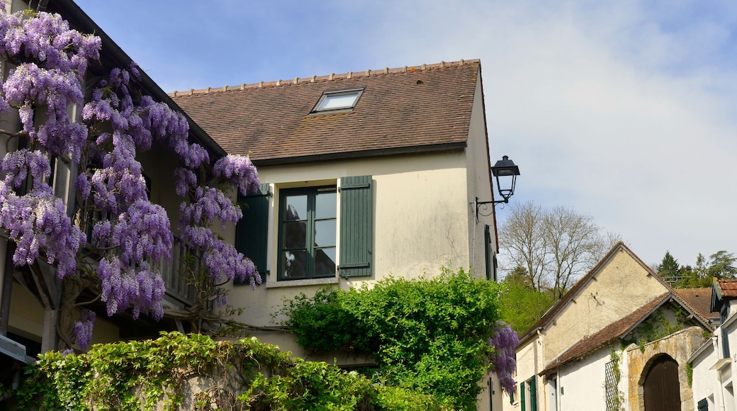 Panoramique rue de la Charrière des Bois fleurie de glycine à La-Roche-Guyon (95780), département du Val-d'Oise en région Île-de-France, France