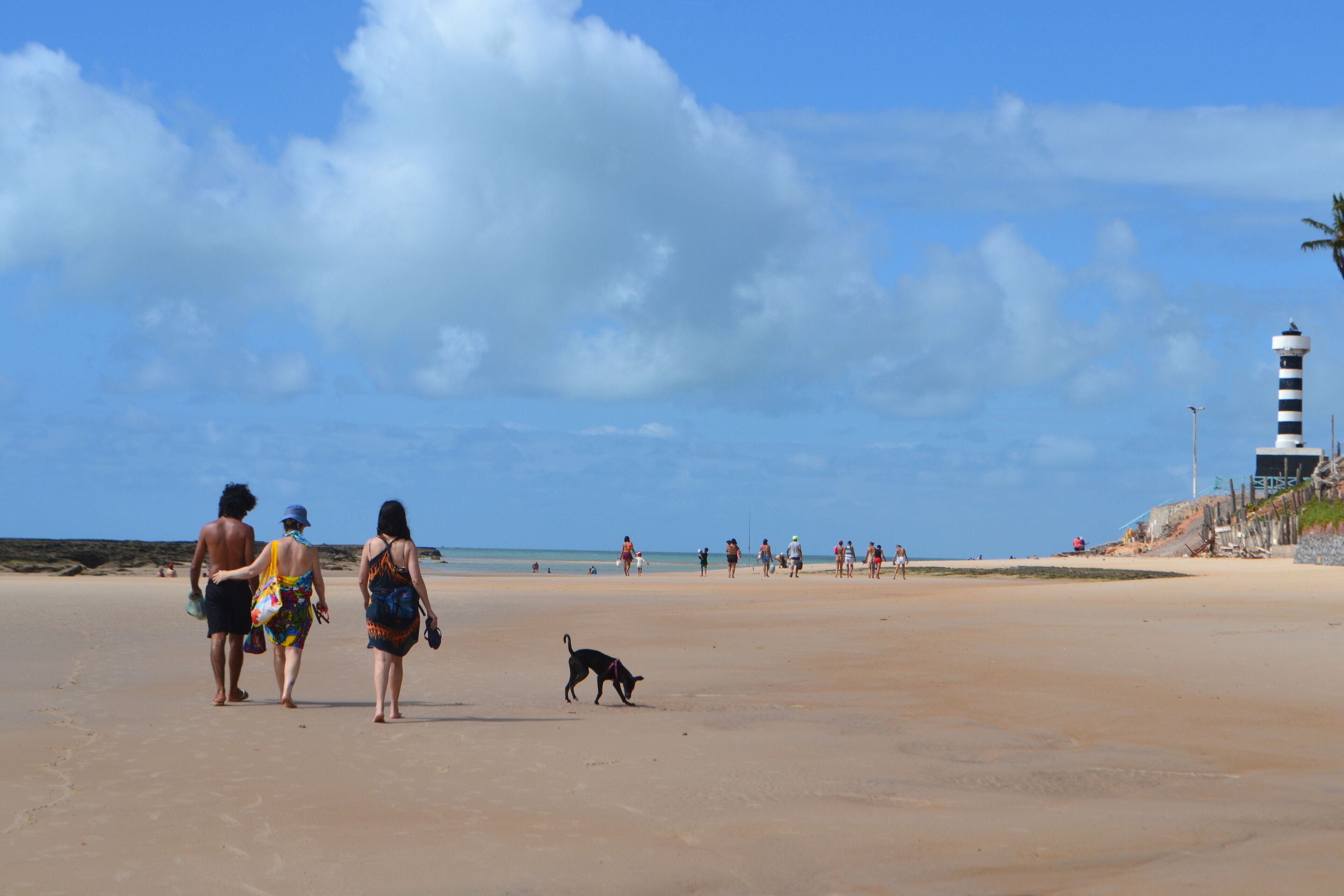 A beach with people walking, a lighthouse, and a dog.