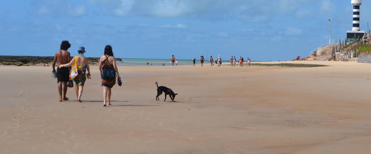 A beach with people walking, a lighthouse, and a dog.