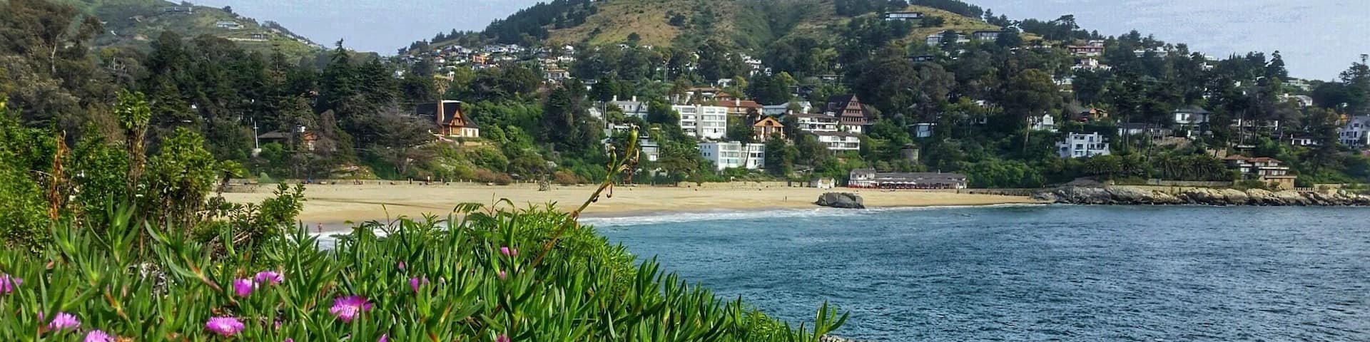 I’ll bet this beach is incredible during the warmer summer months, but with spring comes spring flowers. And they were abundant!