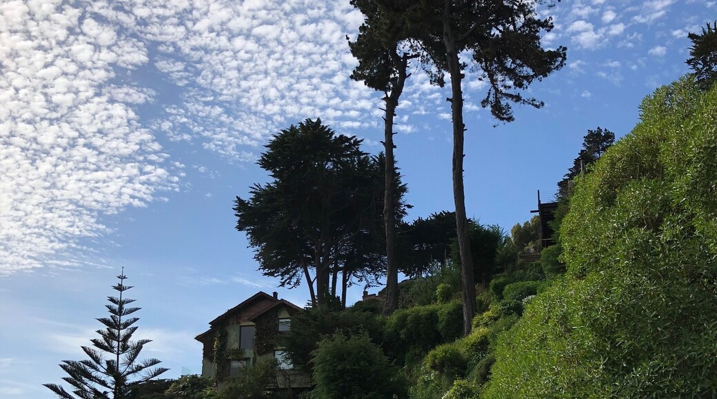 This is a wonderful little place, nestled up on the cliffs above Zapallar. Grab a glass of wine and take a stroll long the shoreâs edge. Eat on the beach. Itâs all good.