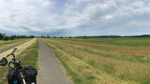 Auf dem Oderradweg, östlich von Wrietzen.