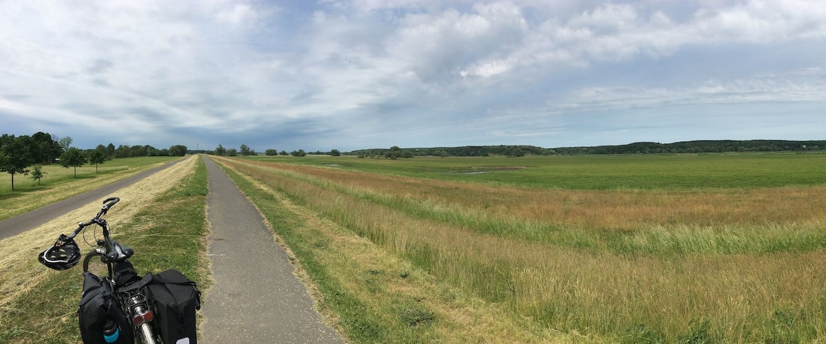 A rural landscape with a paved path splitting the field, a bicycle, and a helmet on the left.