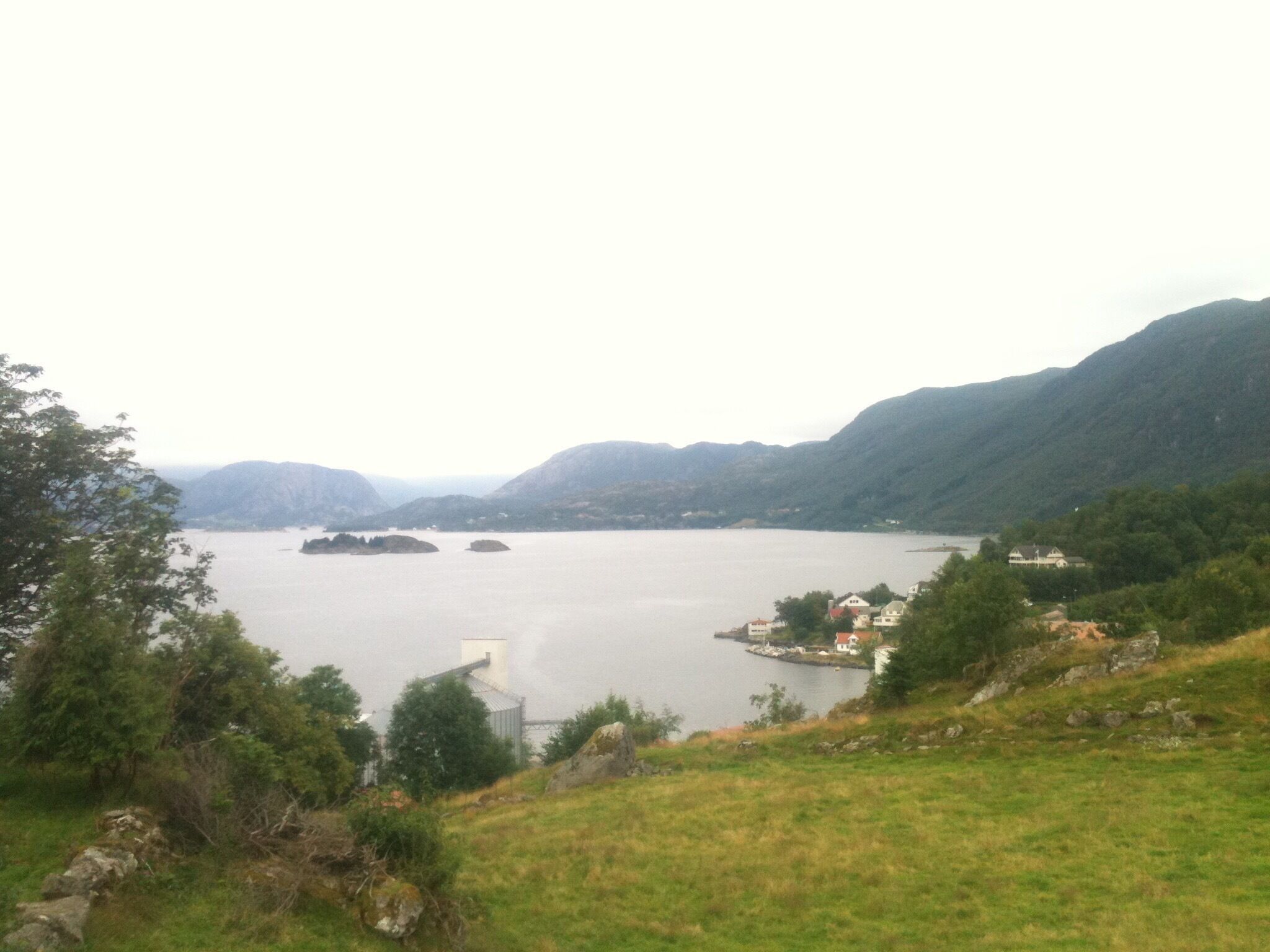 Looking over the fjord