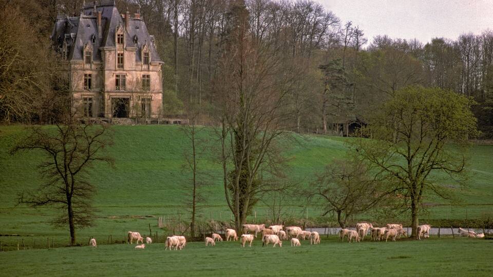 A large estate with a prominent building surrounded by a lush green field and trees.