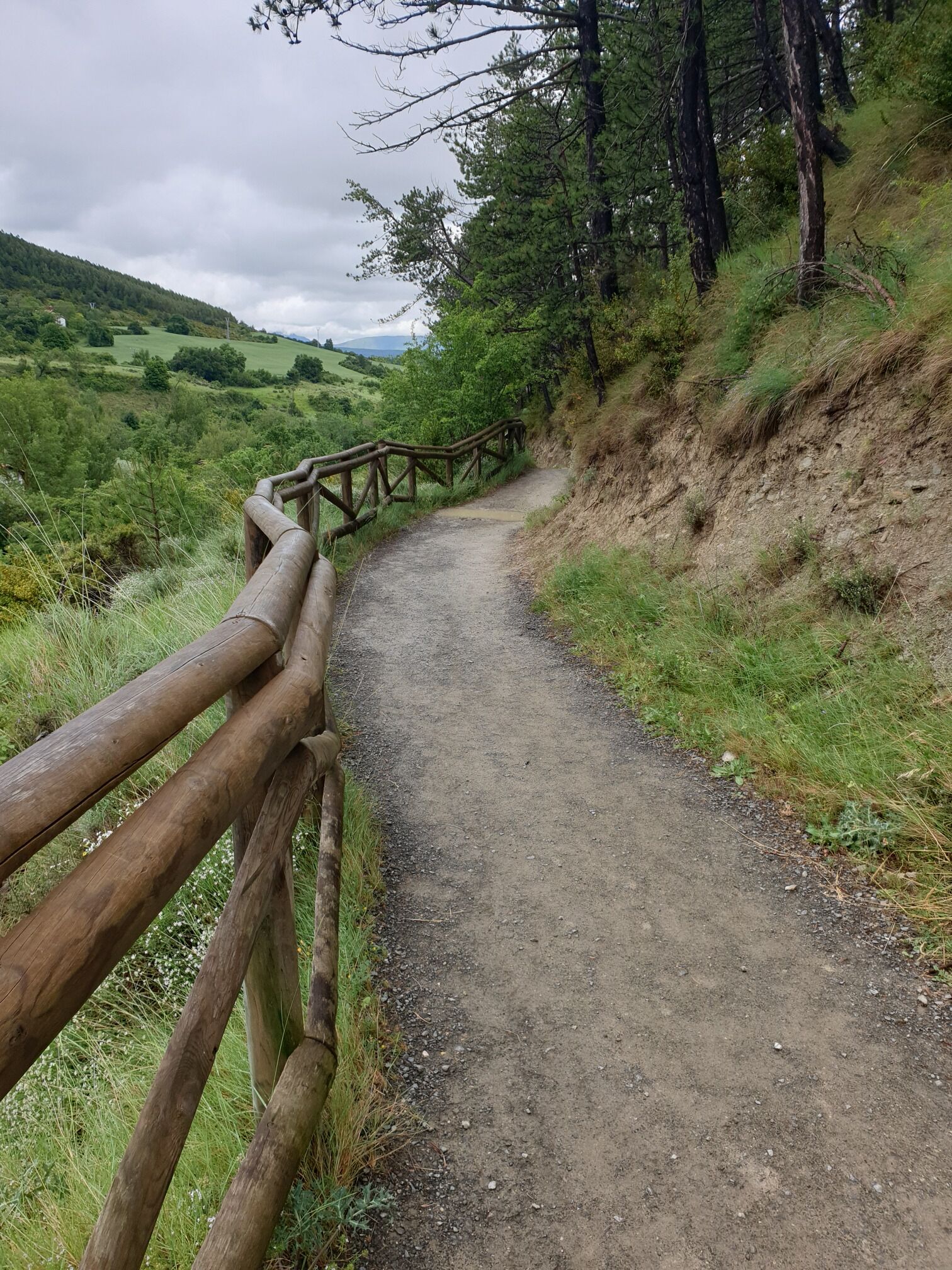 After a spell of rain it brightens up