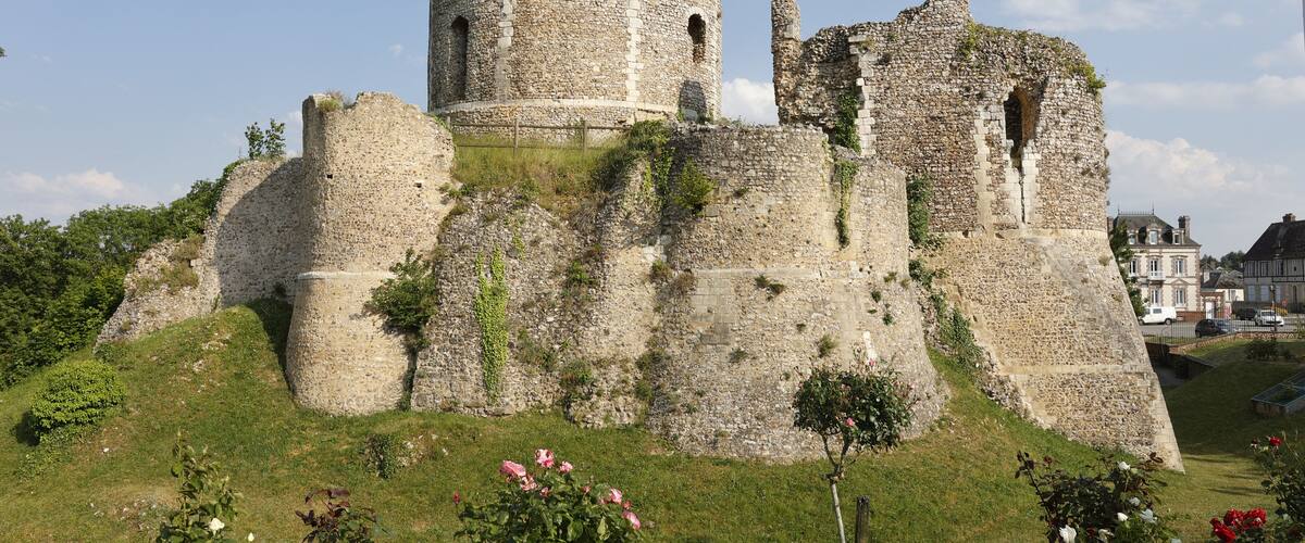 A historic stone castle with ruins, surrounded by greenery and a clear sky.