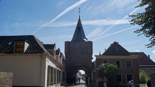 Vischpoort Elburg
#architecture