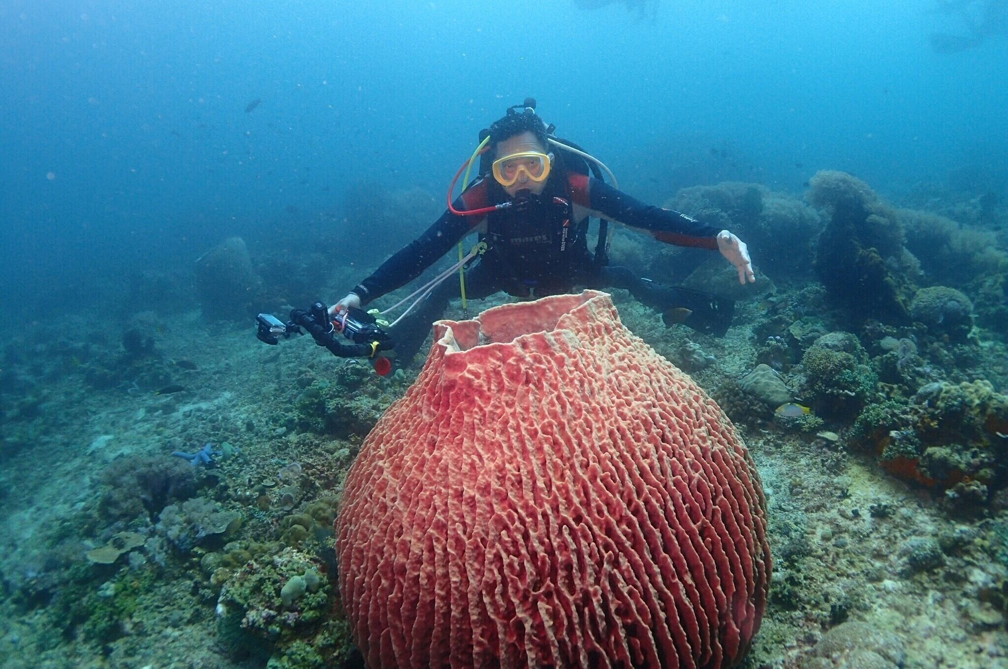 A diver underwater near a large, textured coral formation.