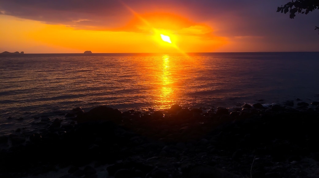 Anilao, Philippines.