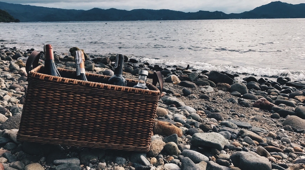 Planet Dive is a diving haven. The location and vibe were heavenly. The place had amazing rooms and areas to chill and relax. This is definitely a top diving spot in Batangas.