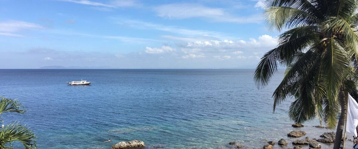 God's wonderful creations.
Beach time! Summer has just started.