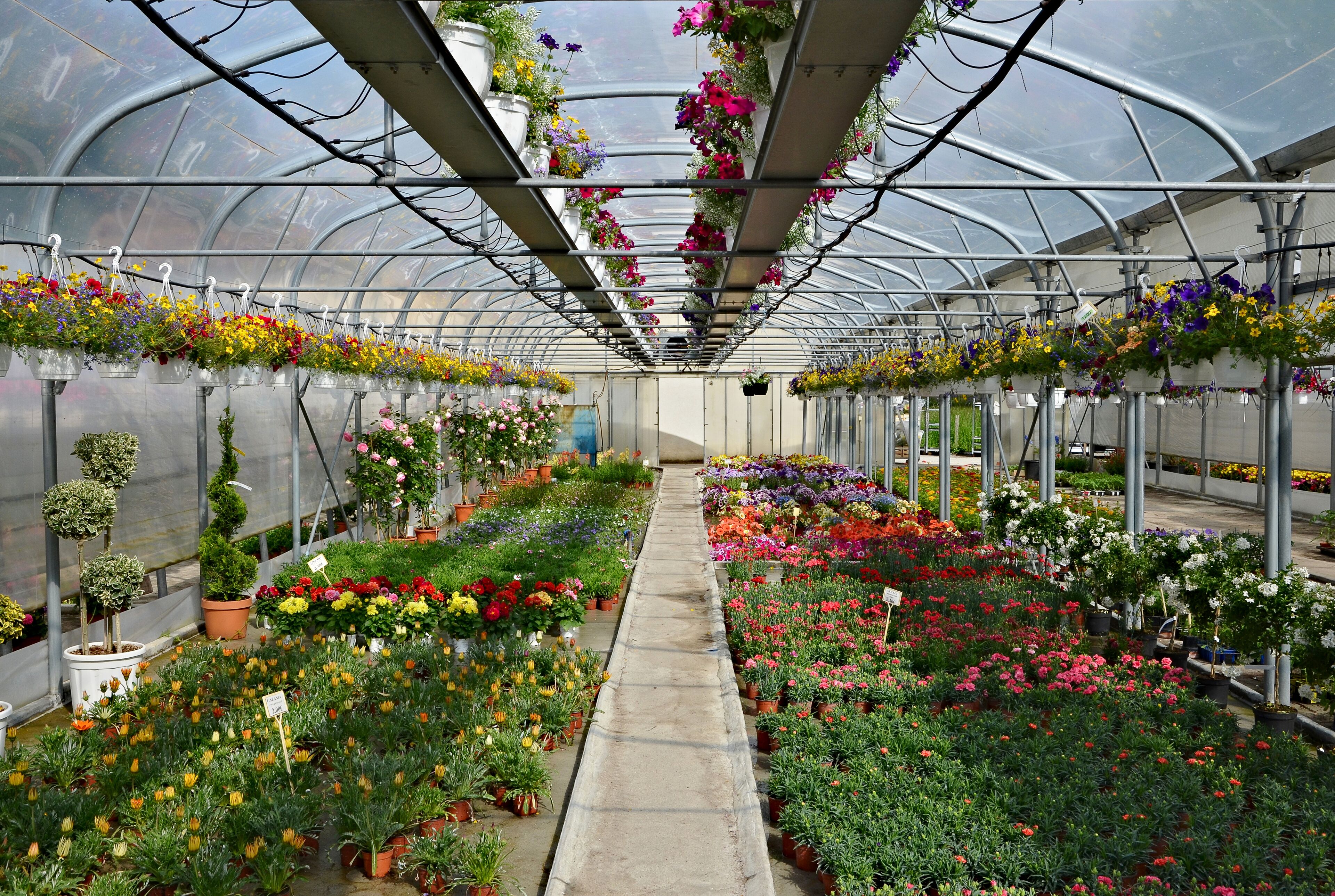 Greenhouse, Aubeterre-sur-Dronne, Charente, France.