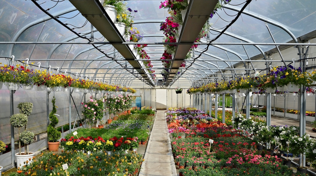 Greenhouse, Aubeterre-sur-Dronne, Charente, France.